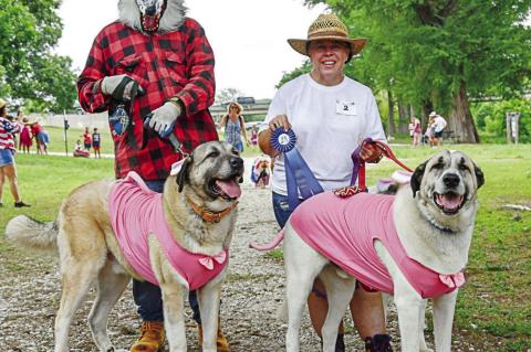 Pet Parade delights Bandera