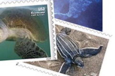 USPS unveils ‘Protect Sea Turtles Forever’ stamps to raise awareness