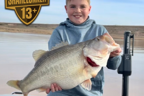 11-Year-Old shatters junior waterbody largemouth bass record, joins father  on books